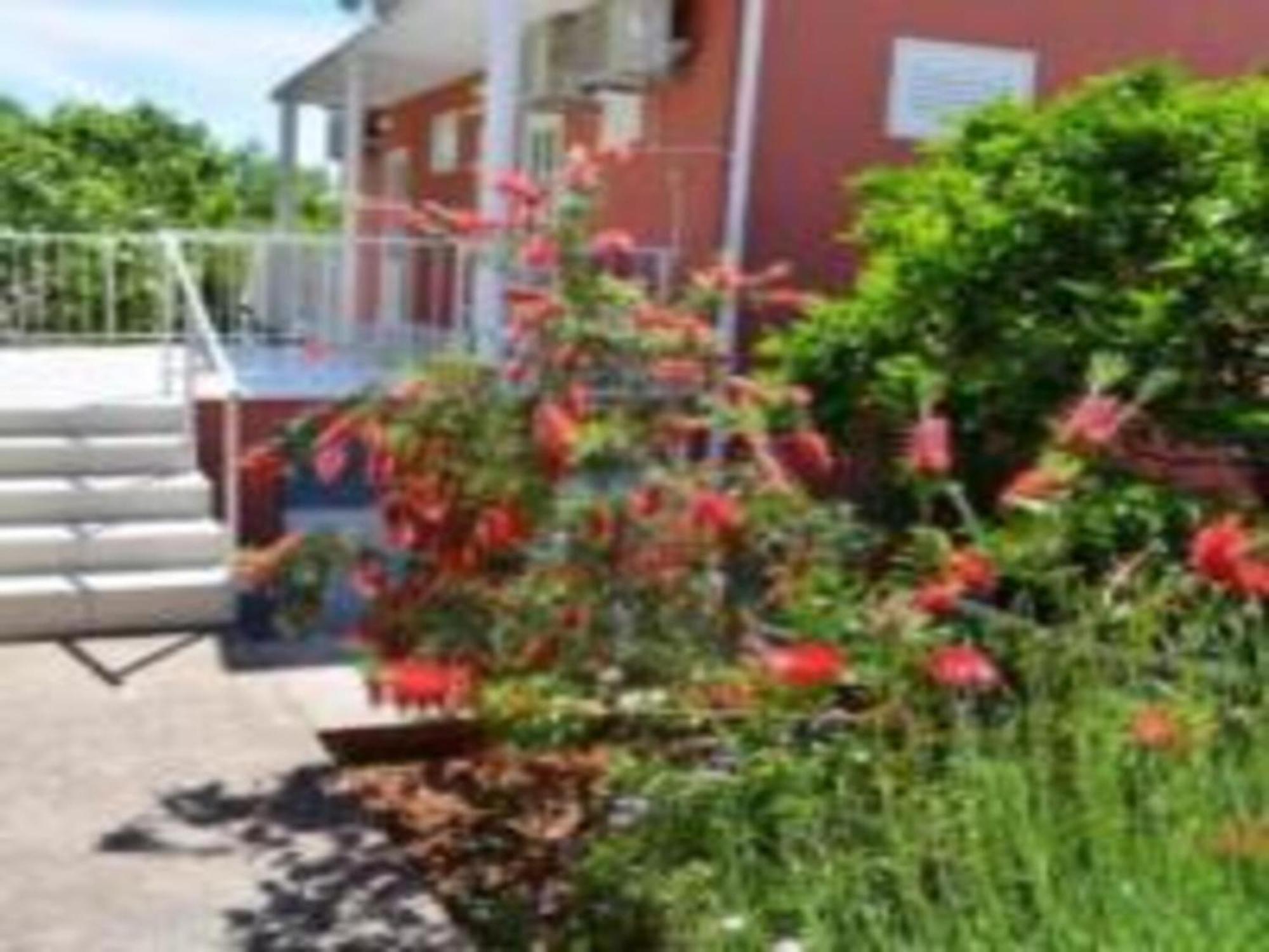 Bleus Apartments Brna Eksteriør billede